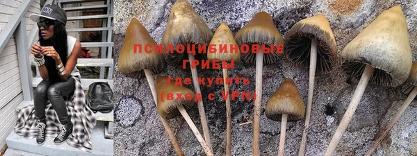 mix Новокубанск