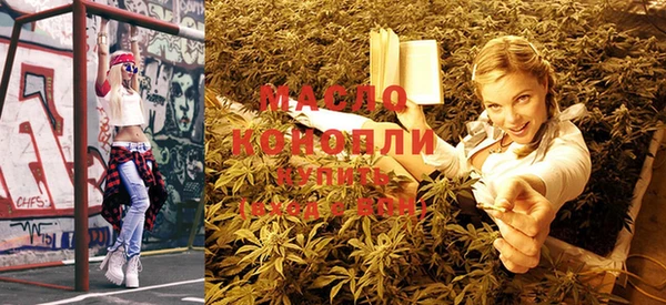 дурь Новодвинск