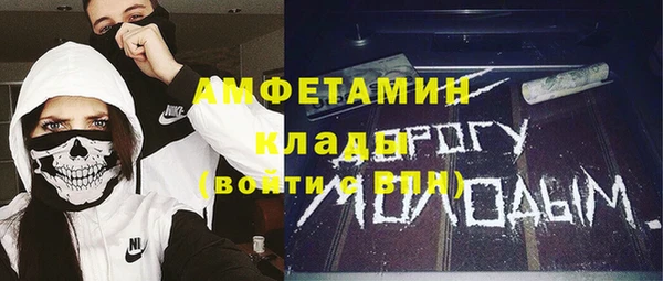 дурь Новодвинск