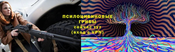 дурь Новодвинск