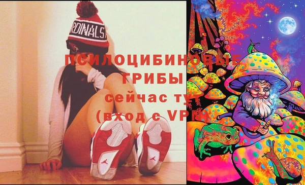 дурь Новодвинск