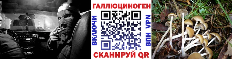 Псилоцибиновые грибы ЛСД  купить   Колпашево 